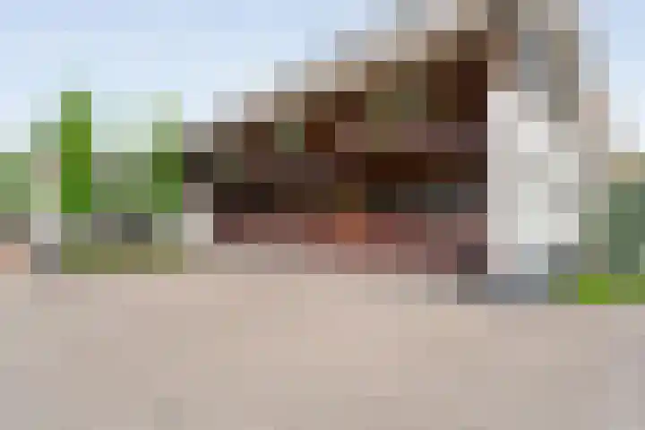 Tonnendijk 88 Vroomshoop thumbnail 53