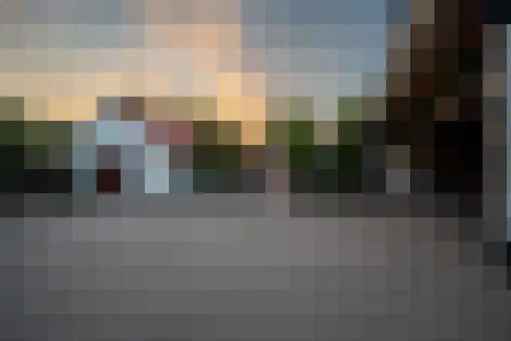 Tonnendijk 88 Vroomshoop thumbnail 54