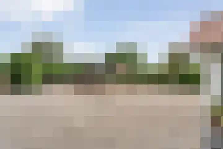 Tonnendijk 88 Vroomshoop thumbnail 55