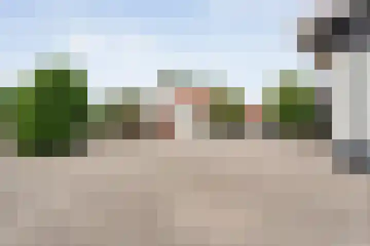 Tonnendijk 88 Vroomshoop thumbnail 56