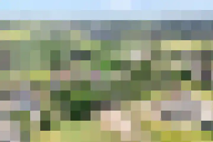Tonnendijk 88 Vroomshoop thumbnail 59