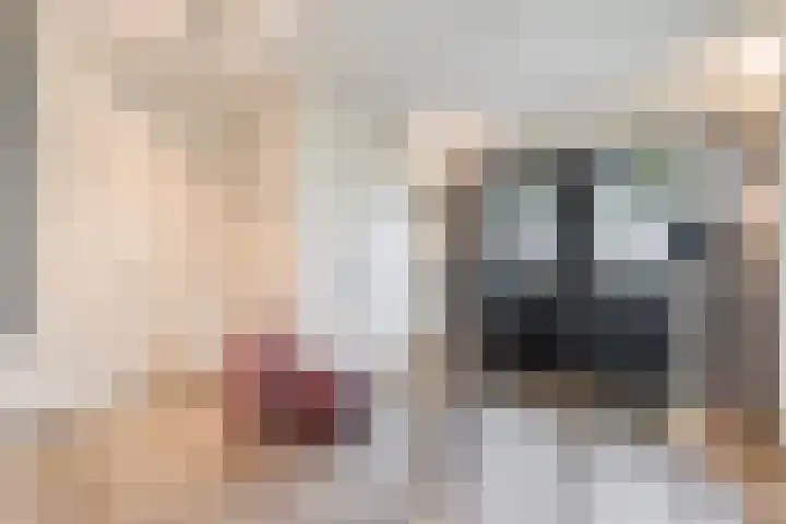 Tonnendijk 88 Vroomshoop thumbnail 6