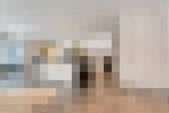 Tonnendijk 88 Vroomshoop thumbnail 7