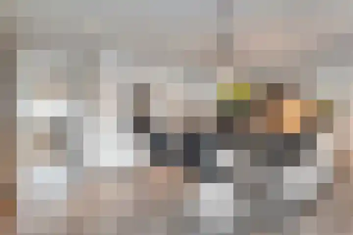 Tonnendijk 88 Vroomshoop thumbnail 8