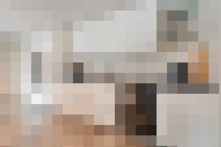 Tonnendijk 88 Vroomshoop thumbnail 9