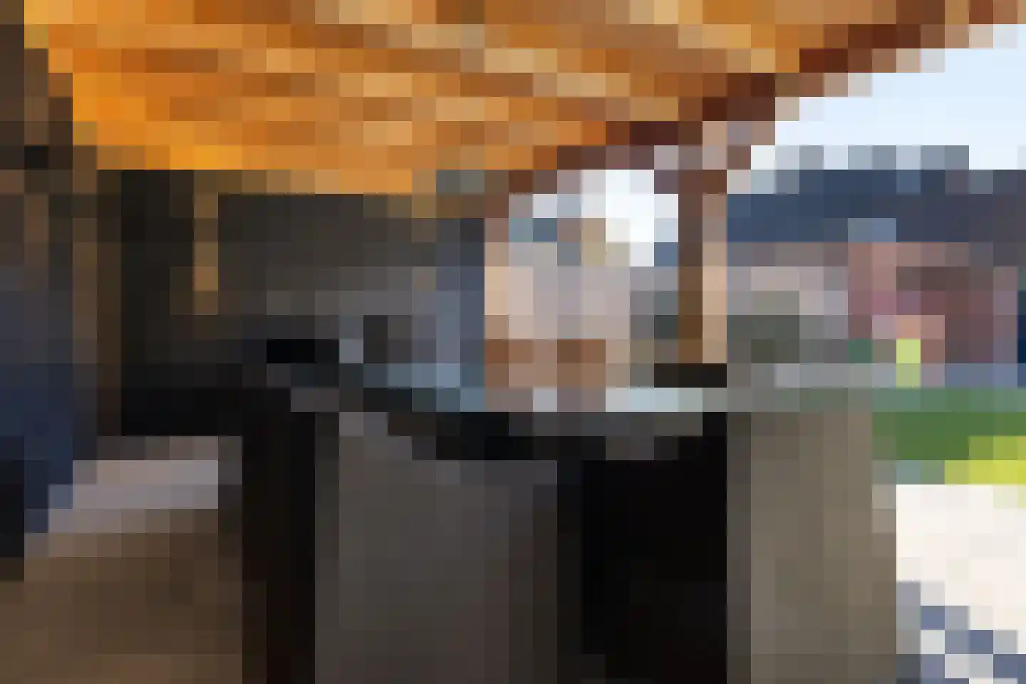 Tonnistil 12 Wagenborgen thumbnail 17