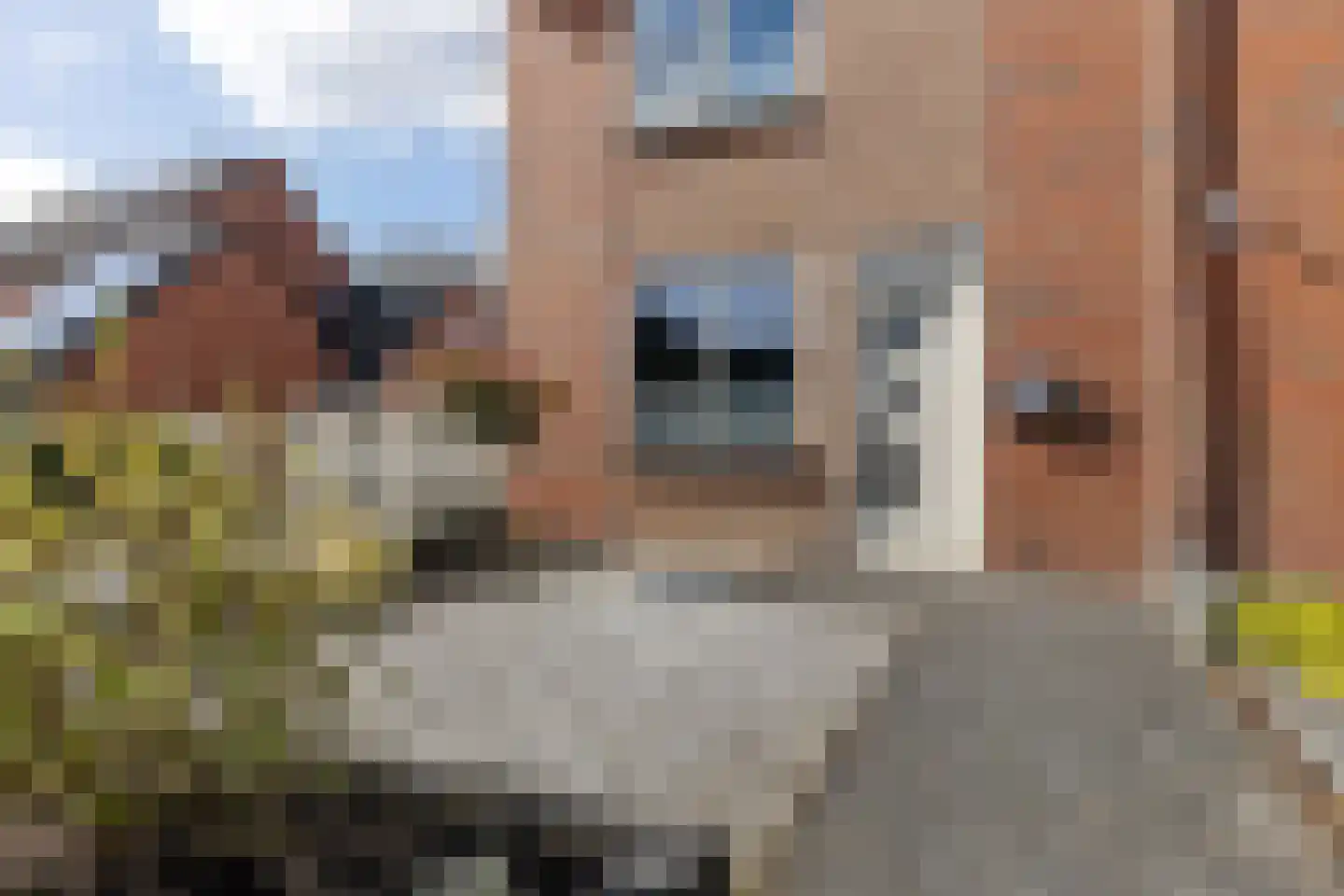 Tonnistil 23 Wagenborgen thumbnail 21