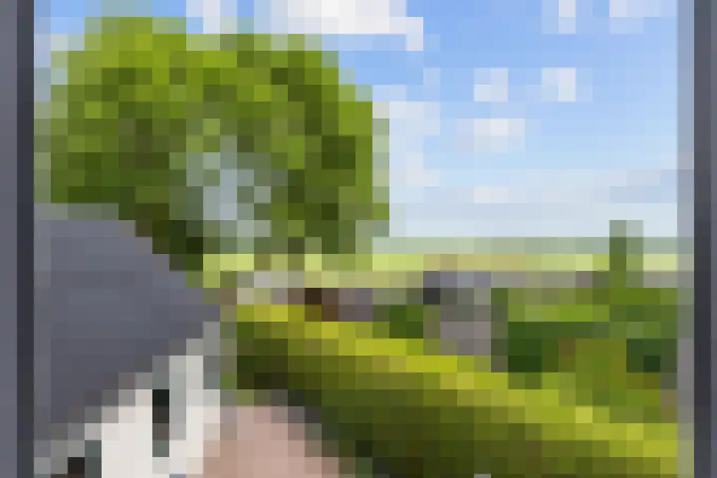 Tonnistil 32 Wagenborgen thumbnail 43