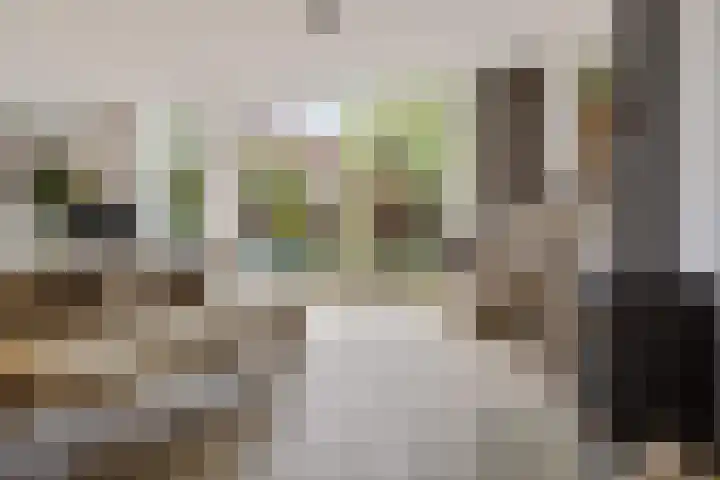 Tonny van Leeuwenlaan 17 Groningen thumbnail 16