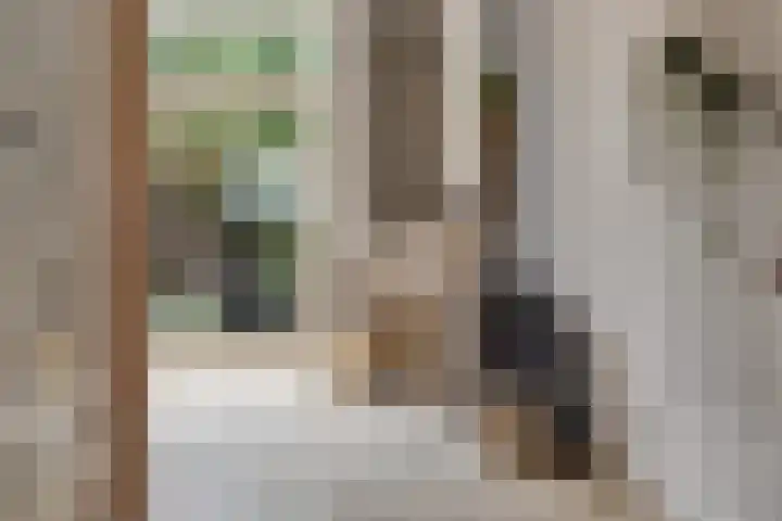 Tonny van Leeuwenlaan 17 Groningen thumbnail 22