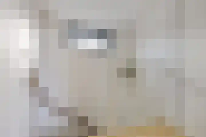 Tonny van Leeuwenlaan 17 Groningen thumbnail 37