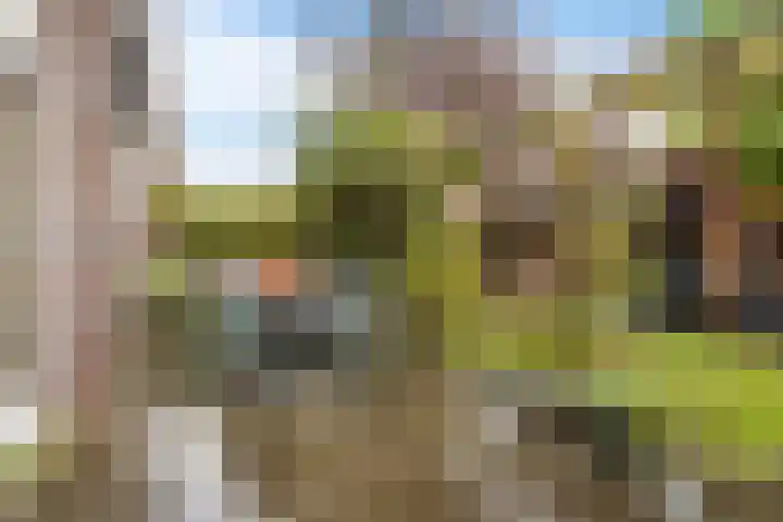 Tonny van Leeuwenlaan 17 Groningen thumbnail 40