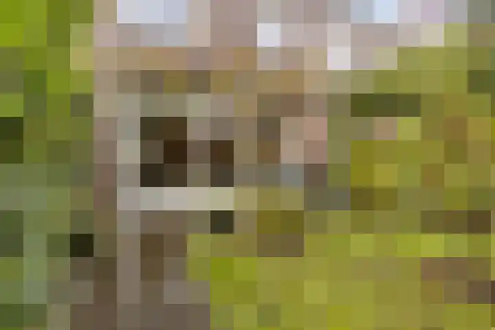 Tonny van Leeuwenlaan 17 Groningen thumbnail 41