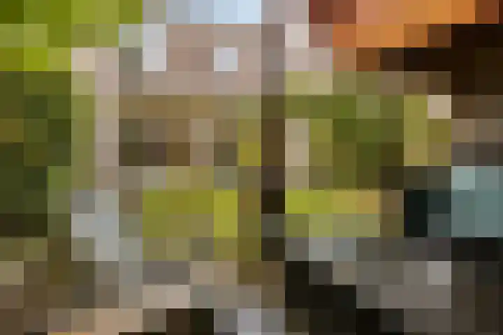 Tonny van Leeuwenlaan 17 Groningen thumbnail 42