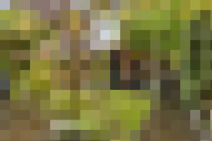Tonny van Leeuwenlaan 17 Groningen thumbnail 43