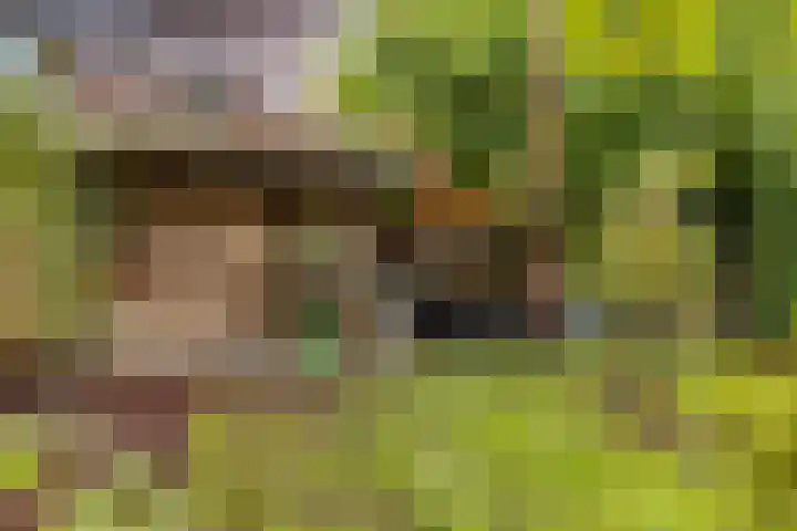 Tonny van Leeuwenlaan 17 Groningen thumbnail 44