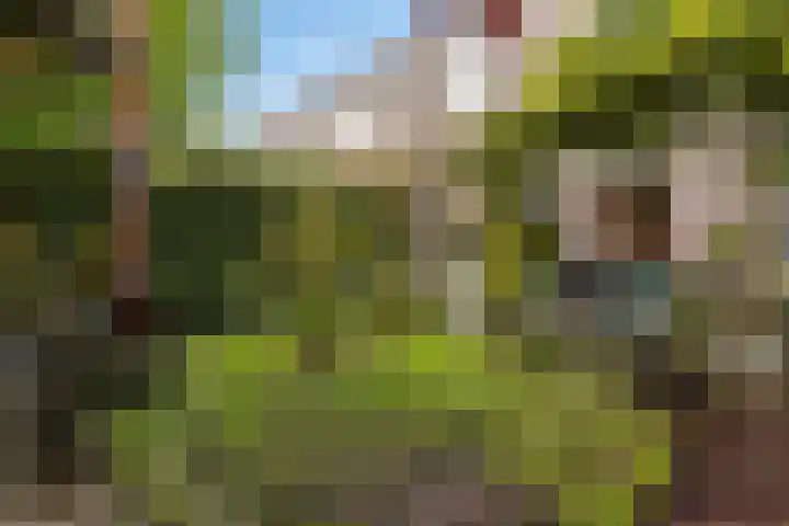 Tonny van Leeuwenlaan 17 Groningen thumbnail 46