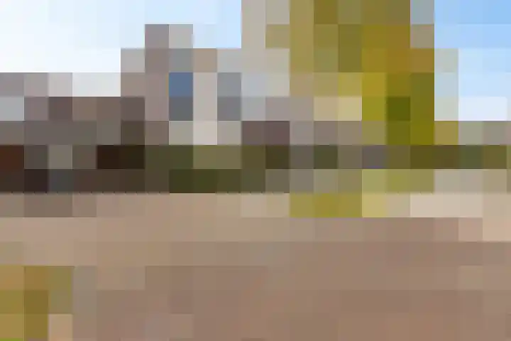 Tonny van Leeuwenlaan 17 Groningen thumbnail 6