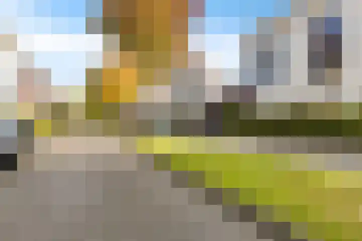 Tonny van Leeuwenlaan 17 Groningen thumbnail 8