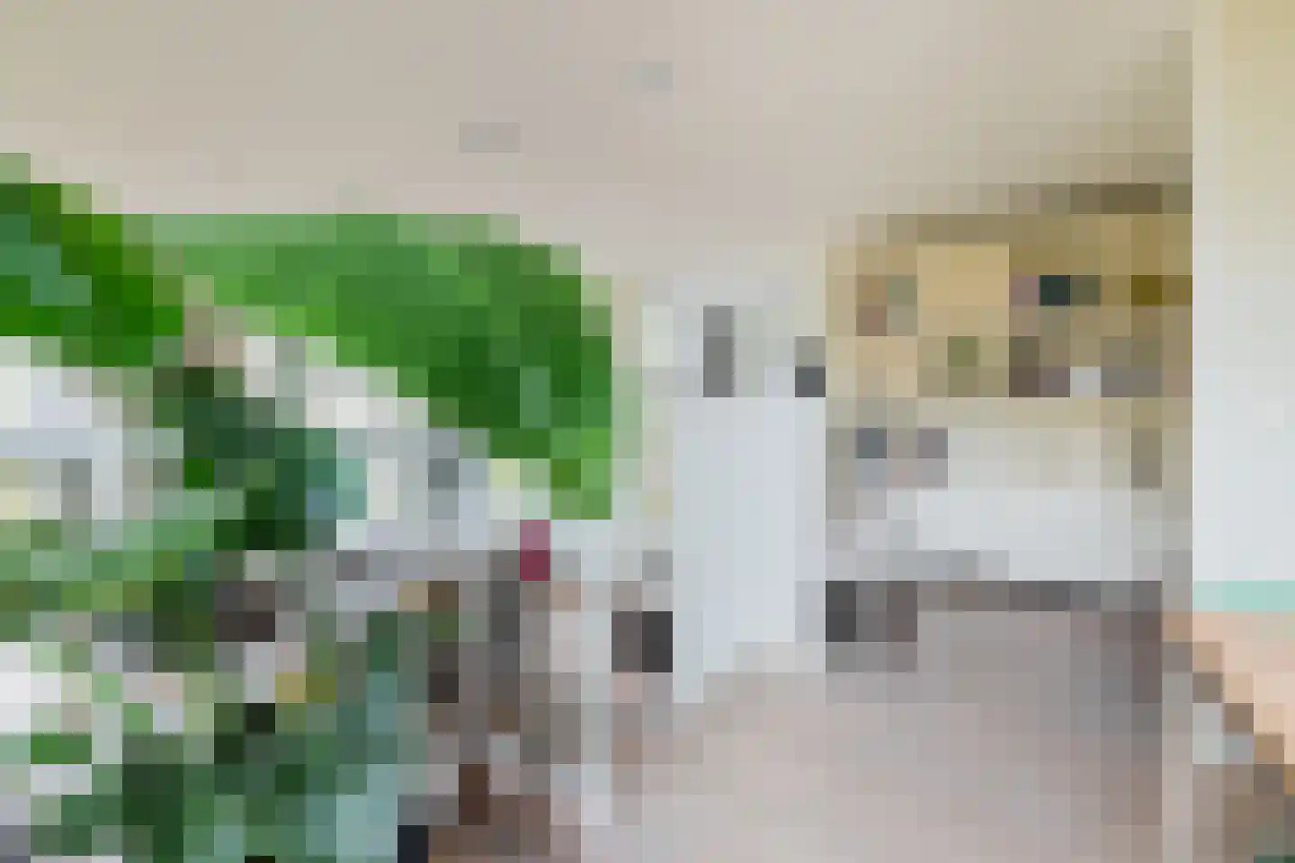 Tonny van Leeuwenlaan 42 Groningen thumbnail 13