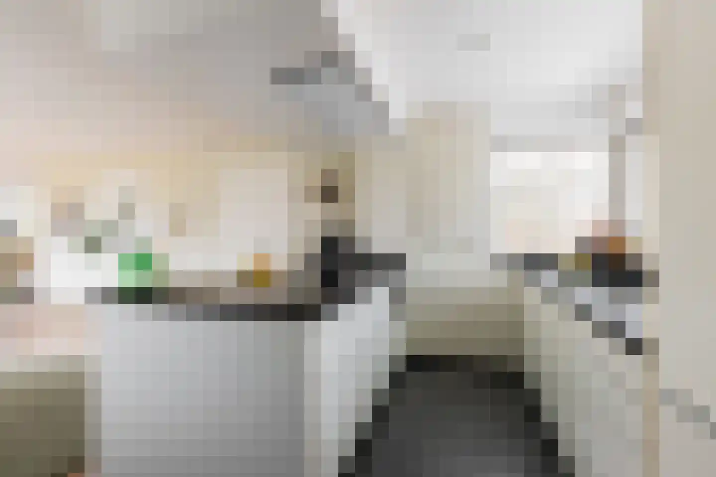 Tonny van Leeuwenlaan 42 Groningen thumbnail 26