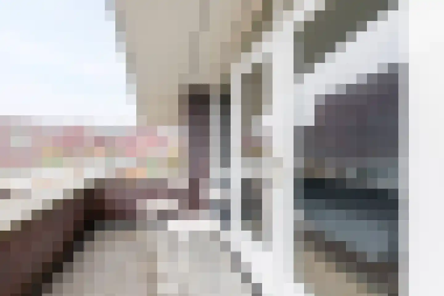 Tonny van Leeuwenlaan 42 Groningen thumbnail 35