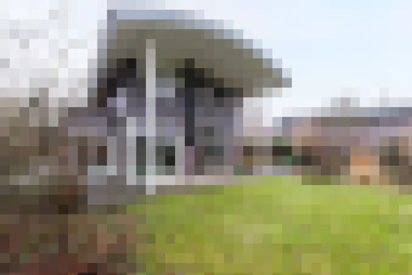 Tonny van Leeuwenlaan 42 Groningen thumbnail 4