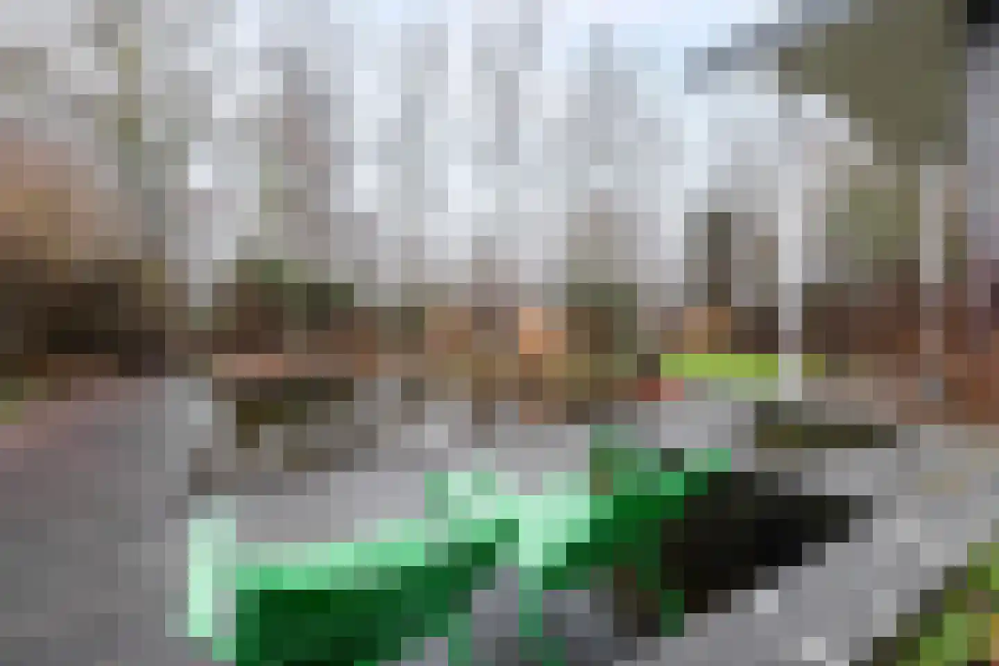 Tonny van Leeuwenlaan 42 Groningen thumbnail 54