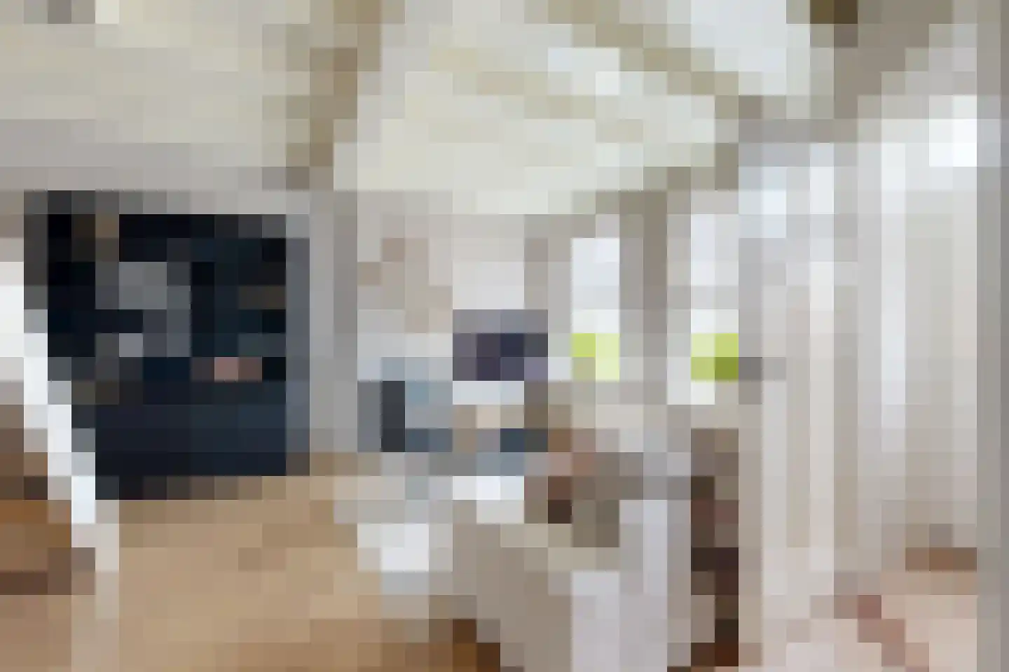 Tonsedijk 21 Fijnaart thumbnail 10