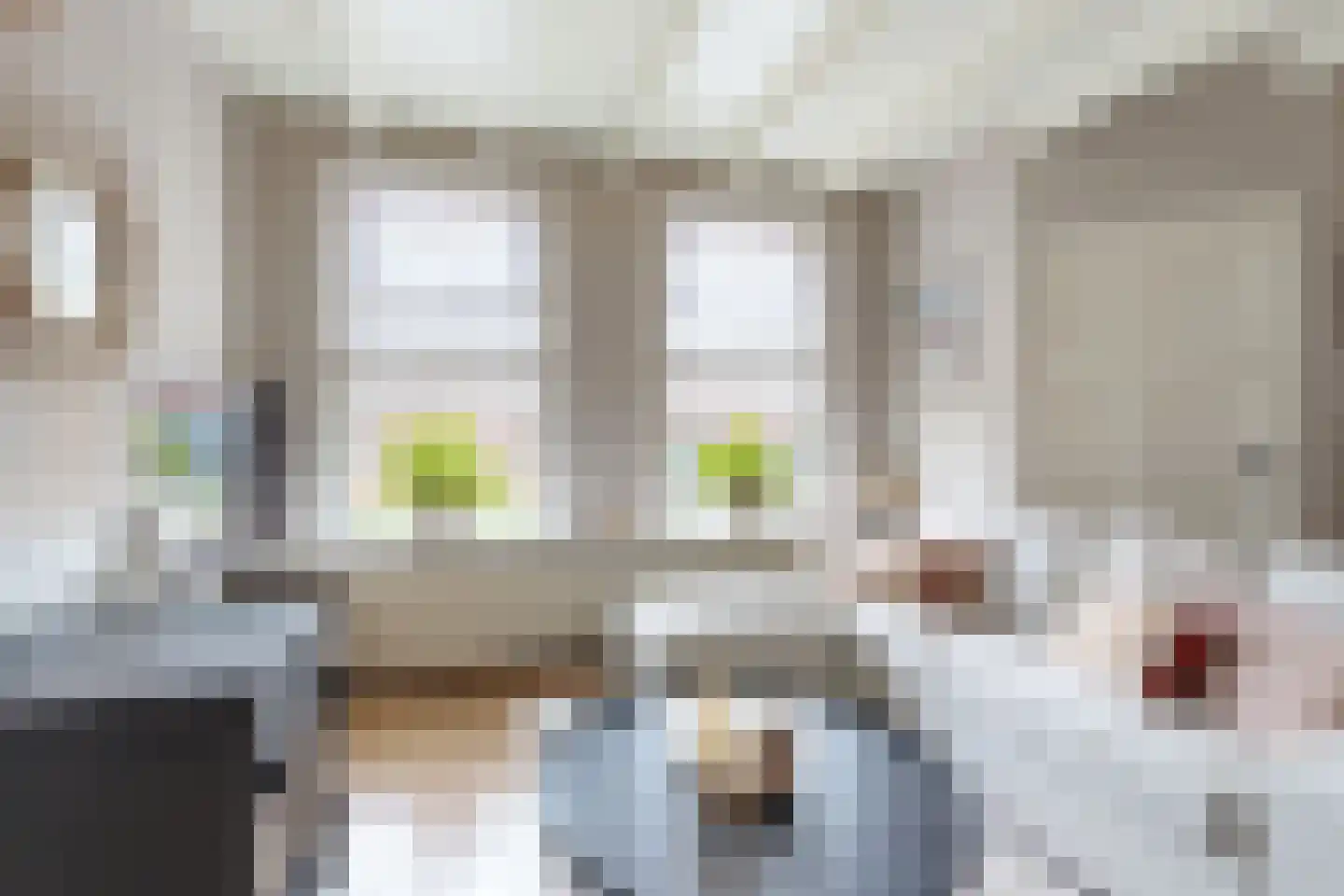 Tonsedijk 21 Fijnaart thumbnail 12