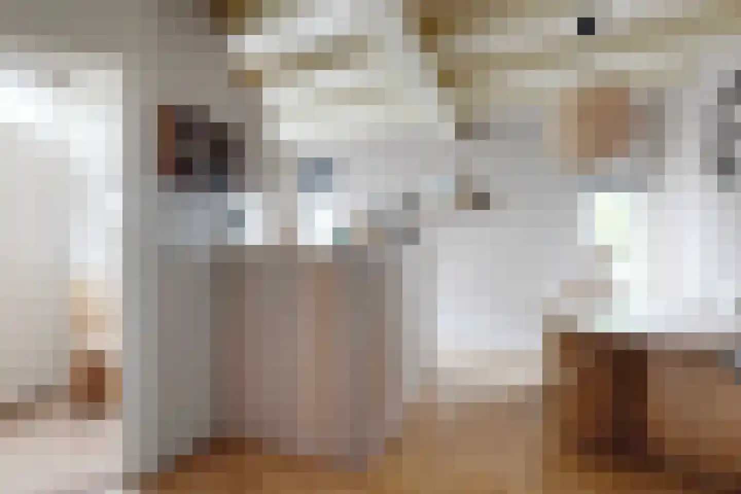 Tonsedijk 21 Fijnaart thumbnail 16