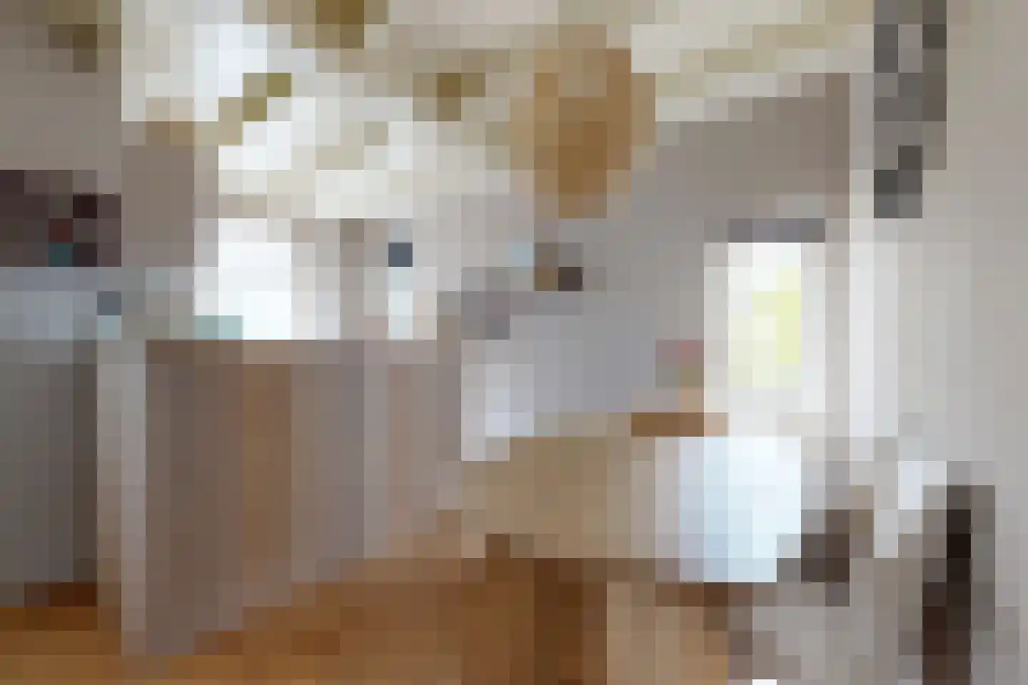 Tonsedijk 21 Fijnaart thumbnail 17