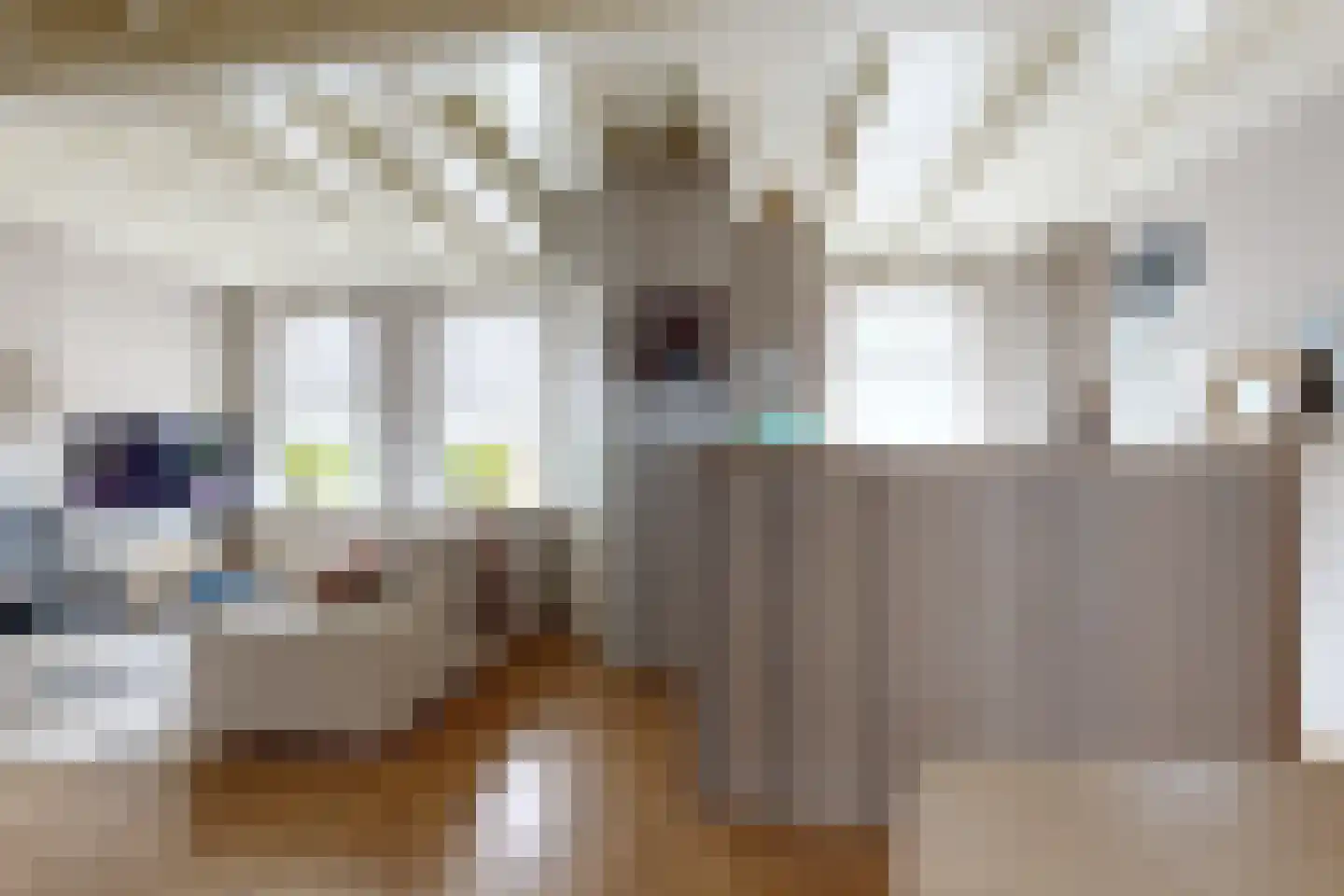 Tonsedijk 21 Fijnaart thumbnail 18