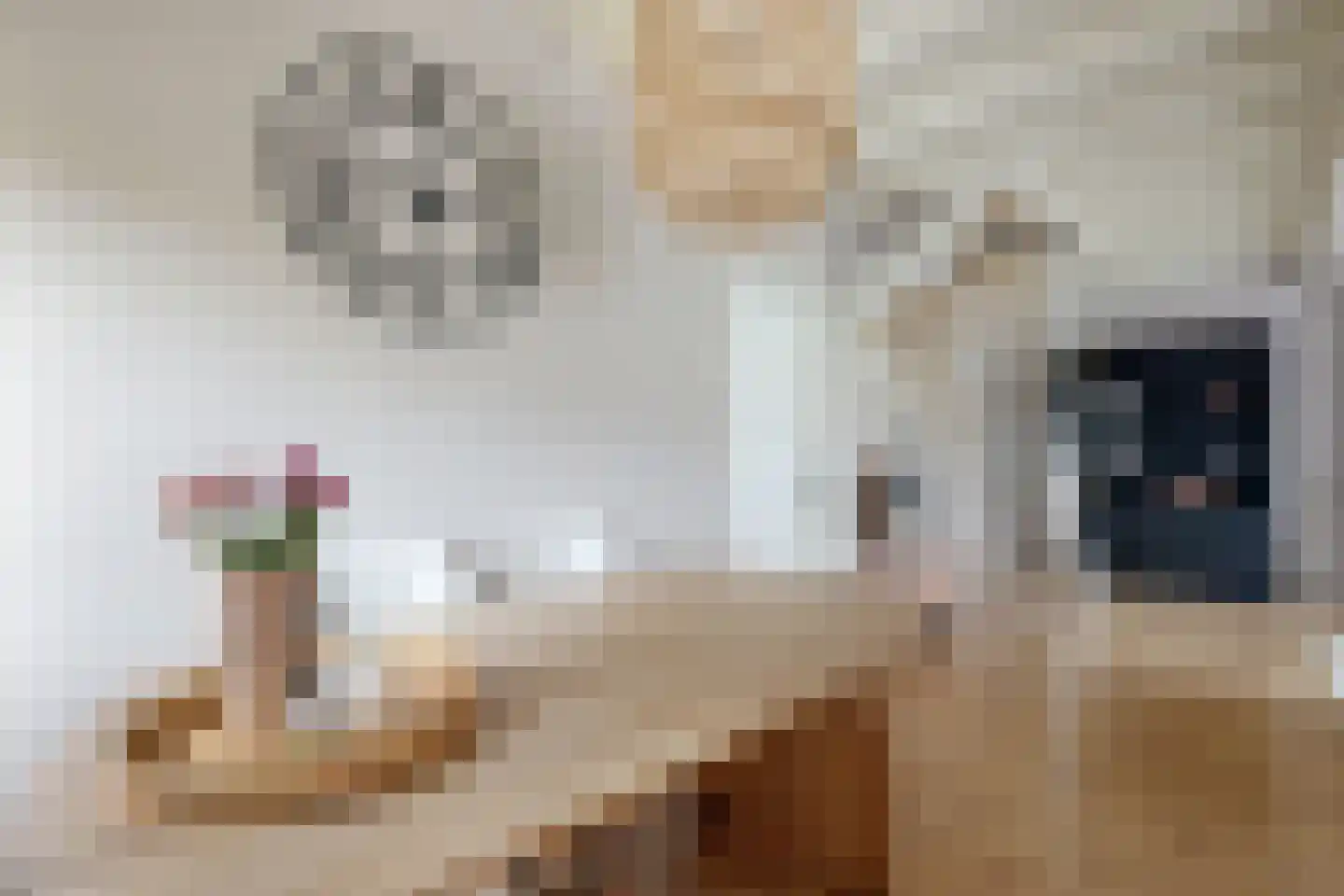 Tonsedijk 21 Fijnaart thumbnail 21