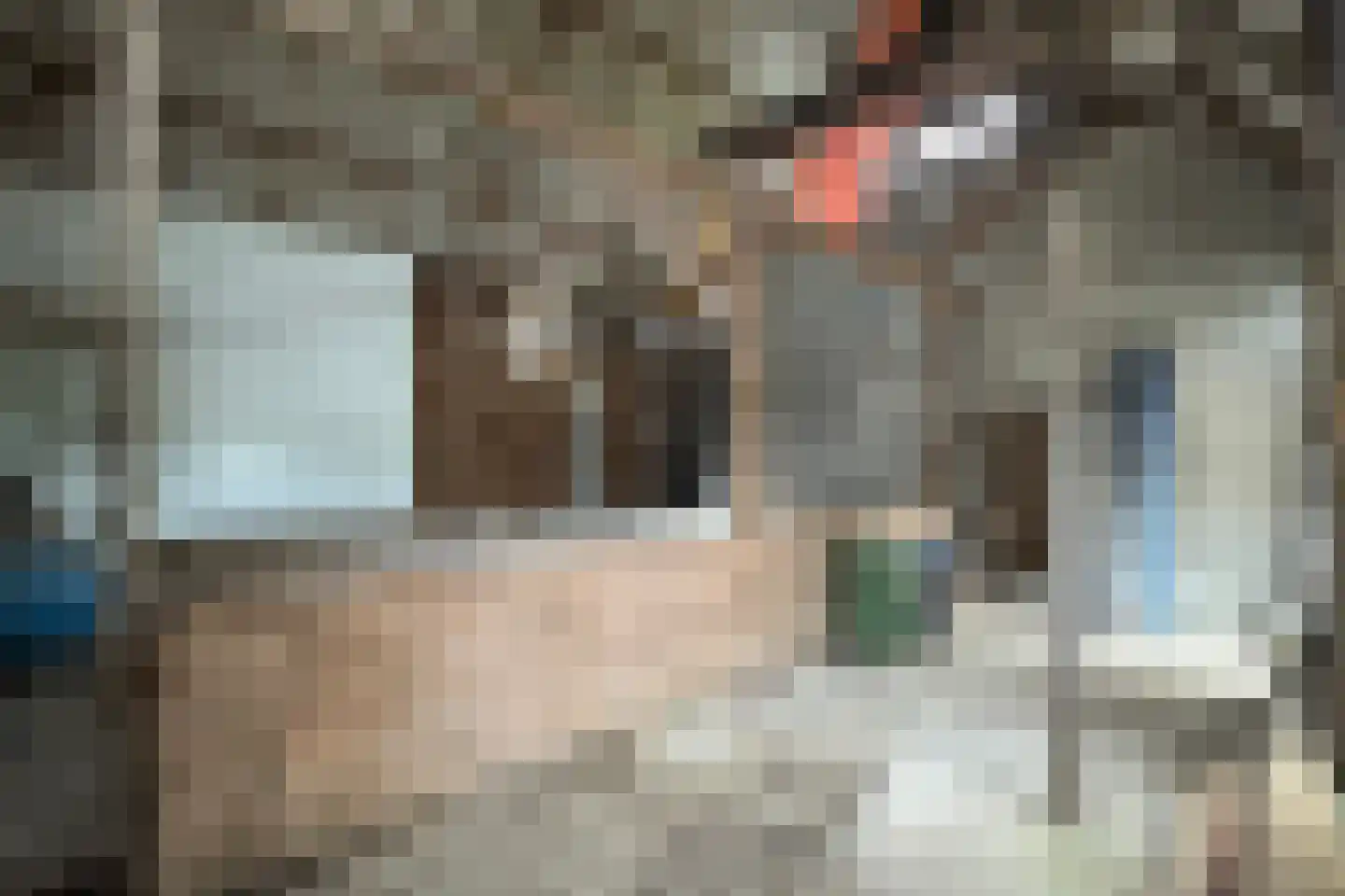 Tonsedijk 21 Fijnaart thumbnail 68