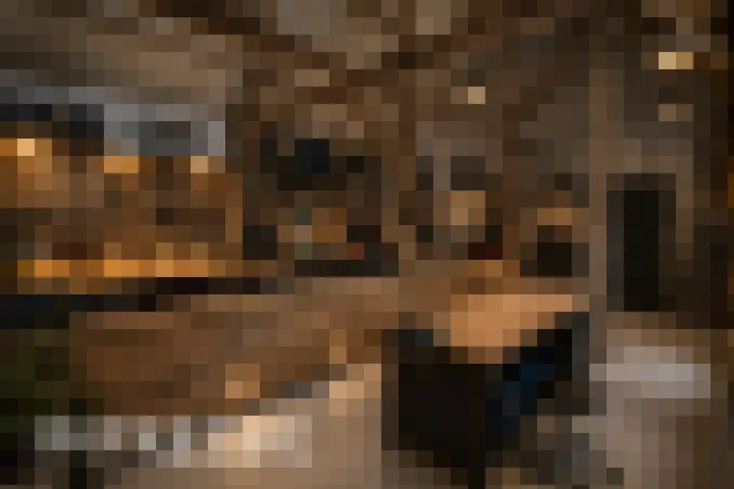 Tonsedijk 21 Fijnaart thumbnail 69