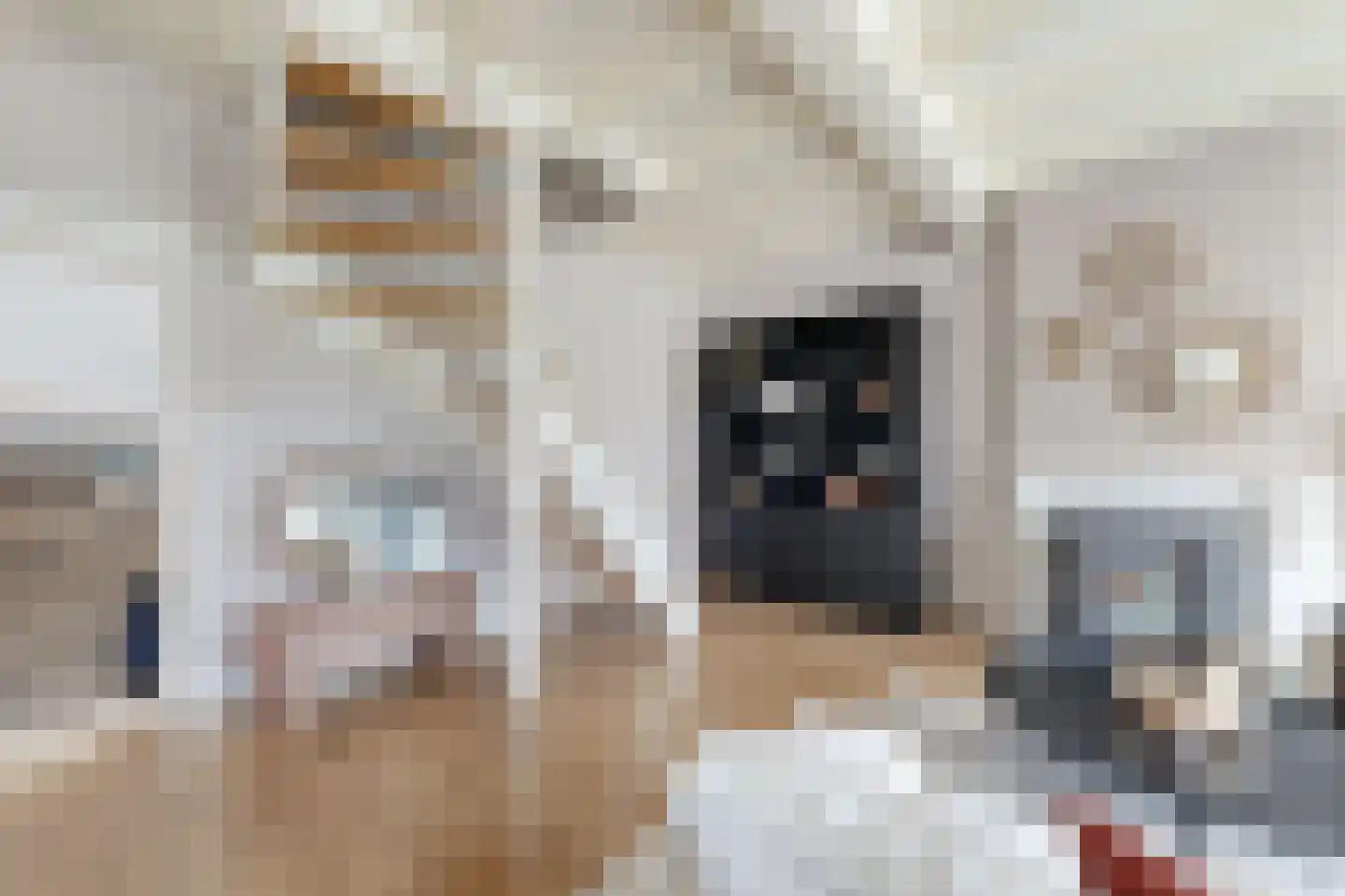 Tonsedijk 21 Fijnaart thumbnail 7