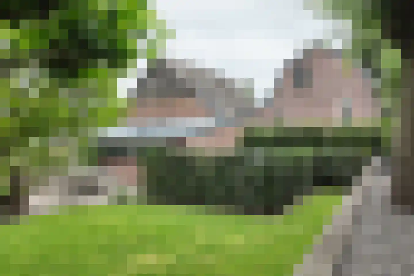 Tonsedijk 21 Fijnaart thumbnail 78