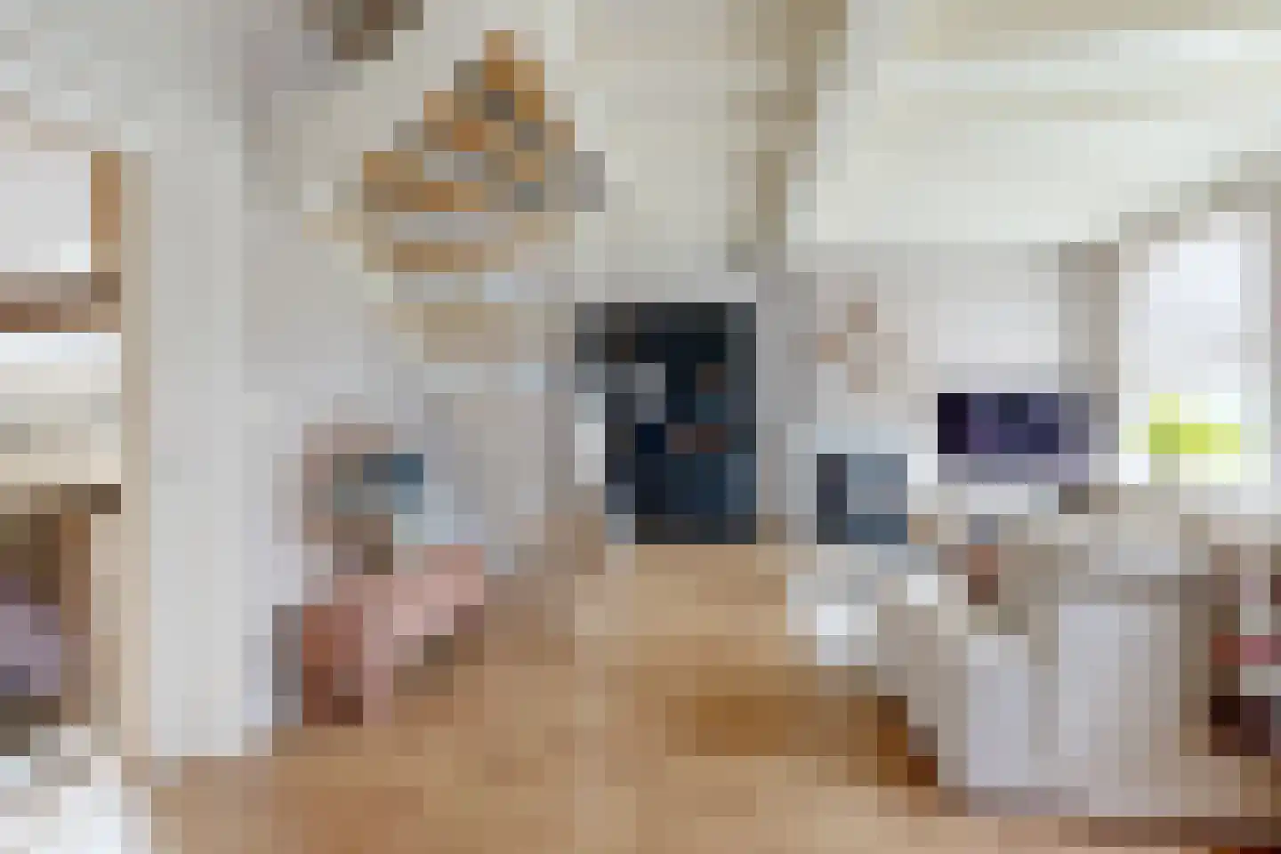 Tonsedijk 21 Fijnaart thumbnail 8