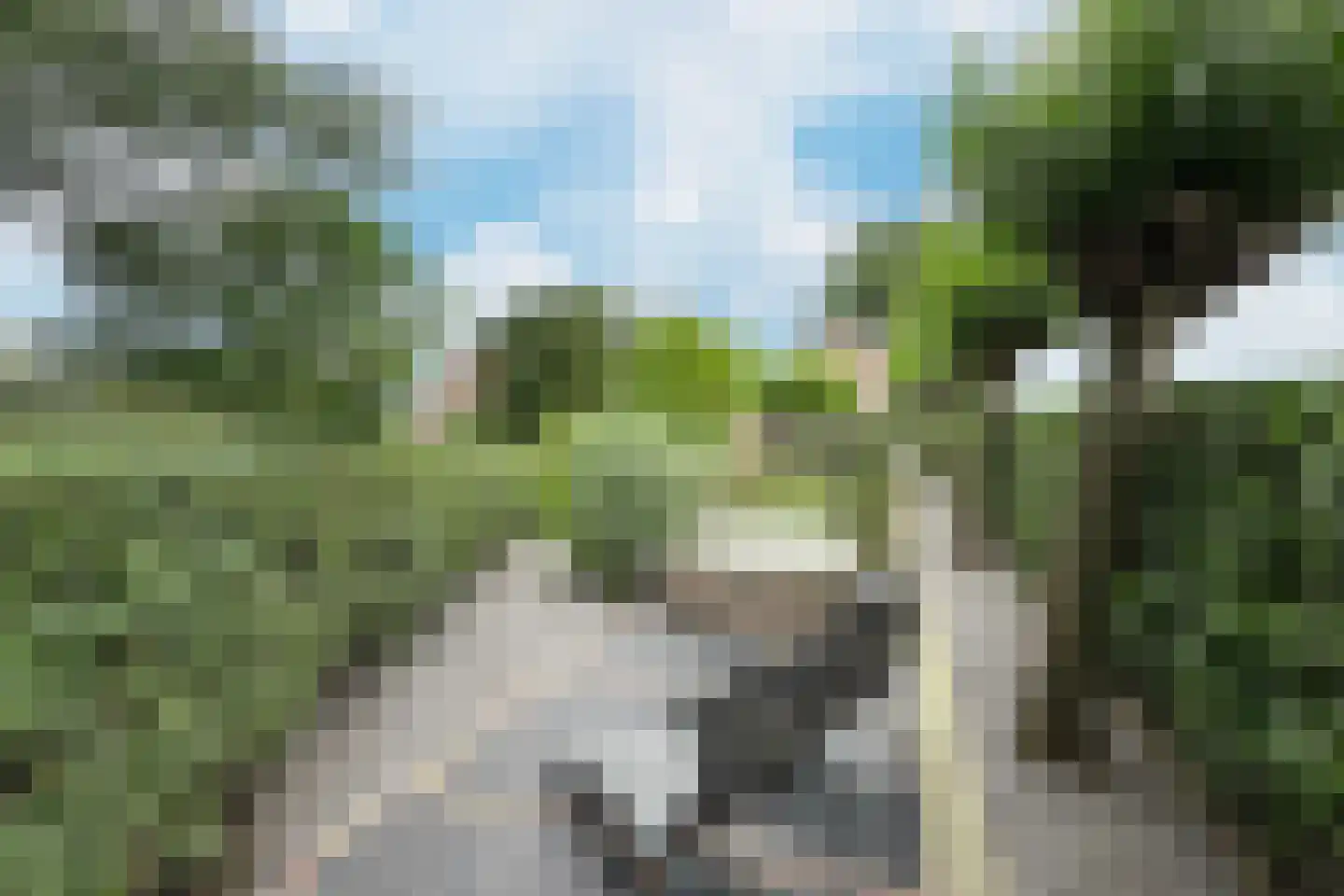 Tonsedijk 21 Fijnaart thumbnail 86