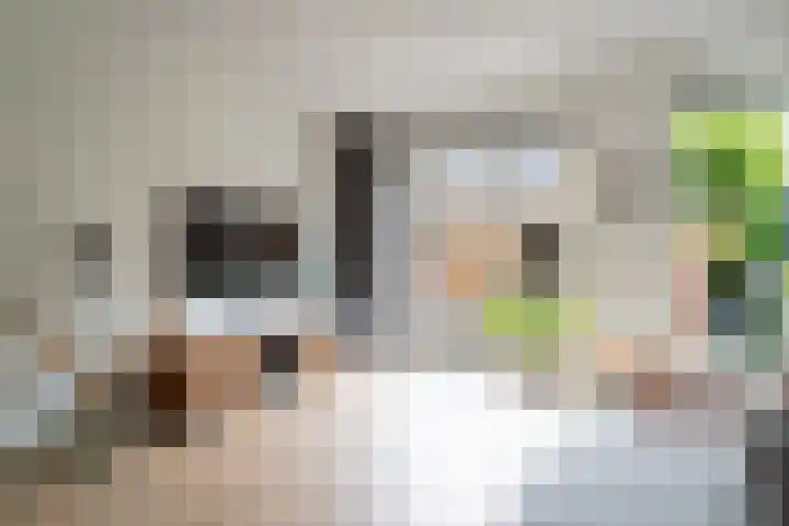 Tonselsedreef 106 Harderwijk thumbnail 11