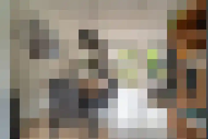Tonselsedreef 106 Harderwijk thumbnail 16
