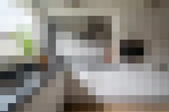 Tonselsedreef 106 Harderwijk thumbnail 19