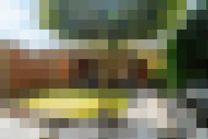 Tonselsedreef 106 Harderwijk thumbnail 31