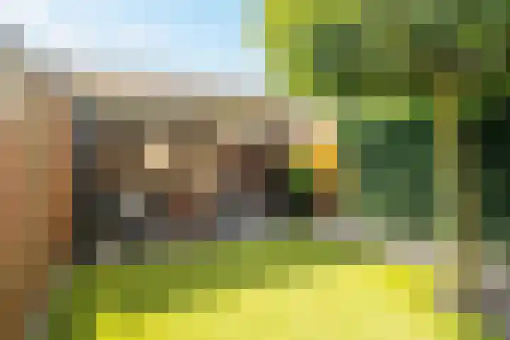 Tonselsedreef 106 Harderwijk thumbnail 32