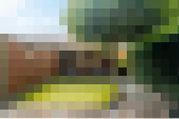 Tonselsedreef 106 Harderwijk thumbnail 33