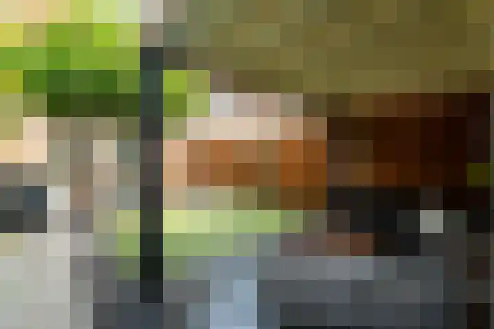 Tonselsedreef 106 Harderwijk thumbnail 35