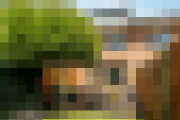 Tonselsedreef 106 Harderwijk thumbnail 36