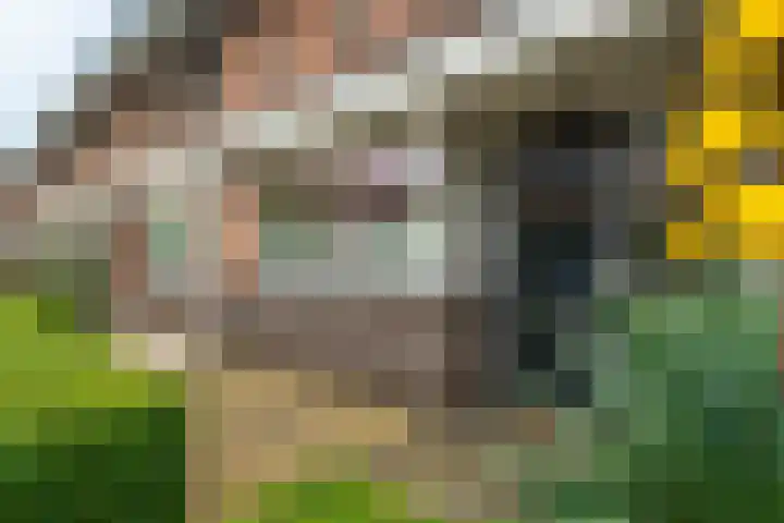Tonselsedreef 106 Harderwijk thumbnail 38