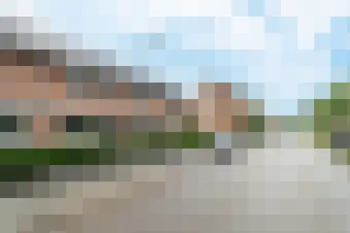 Tonselsedreef 106 Harderwijk thumbnail 41